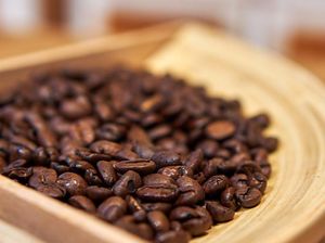 8 Manfaat Kopi yang Menyehatkan, Cegah Selulit hingga Jerawat