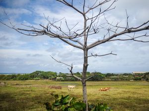 Sepanjang 2022, Konflik Agraria di Jabar Tertinggi se-Indonesia Sepanjang 2022, Konflik Agraria di Jabar Tertinggi se-Indonesia