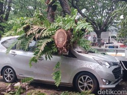 Detik-detik Taksi Online di Makassar Bawa 7 Penumpang-Sopir Tertimpa Pohon