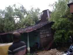 Hujan Deras-Angin Kencang di Grobogan, 2 Rumah Rusak Tertimpa Pohon
