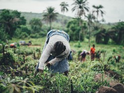 Sistem Ekonomi Tradisional: Apa itu, Kelebihan, dan Kekurangannya