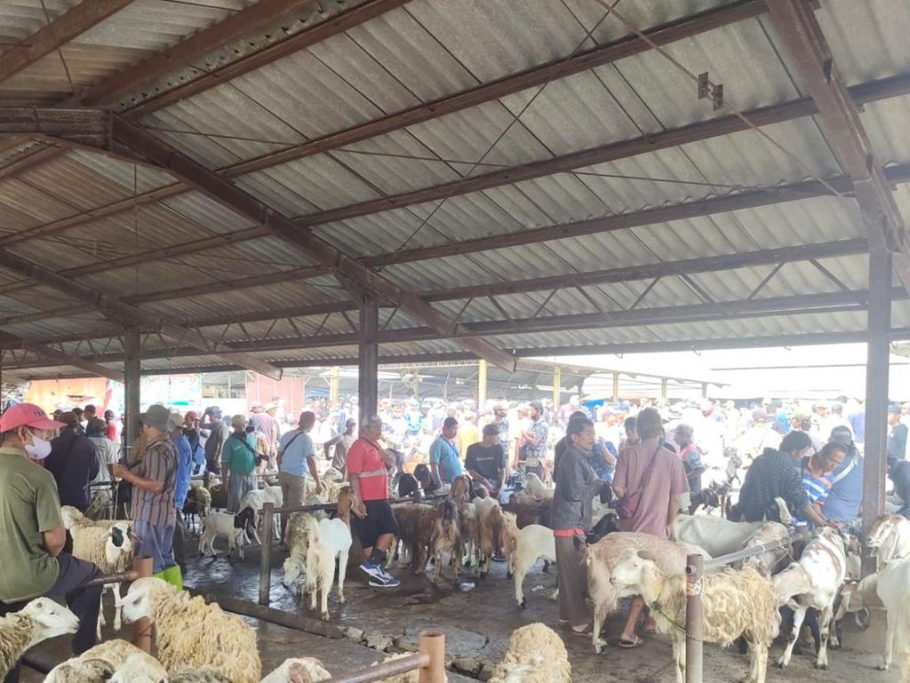 Setelah 6 Bulan Tutup, Pasar Hewan Pon Ambarawa Kembali Buka Setelah 6 Bulan Tutup, Pasar Hewan Pon Ambarawa Kembali Buka