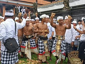 Aci Tabuh Rah Pengangon, Tradisi Unik Perang Tipat Bantal Desa Kapal Aci Tabuh Rah Pengangon, Tradisi Unik Perang Tipat Bantal Desa Kapal