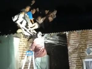 Wanita Bawean Tertawa di Atap Rumah Akui Kerap Melamun Takut Suami Merantau Wanita Bawean Tertawa di Atap Rumah Akui Kerap Melamun Takut Suami Merantau