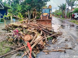 Alat Berat dari Tambang Emas Banyuwangi Normalisasi Sungai Imbas Banjir