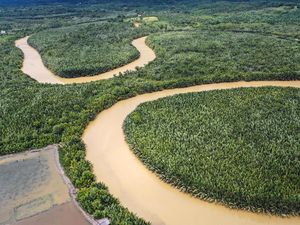 Diam-diam Jalur Khusus Material Logistik di IKN Dibangun, Begini Potretnya