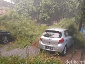 Hujan Angin di Bogor, Pohon Tumbang Timpa 5 Motor dan 3 Mobil