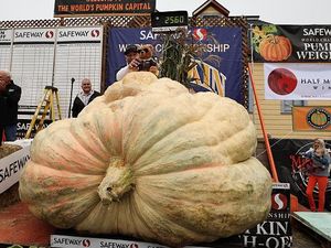 Ini Dia Pemenang Kompetisi Labu Raksasa di AS