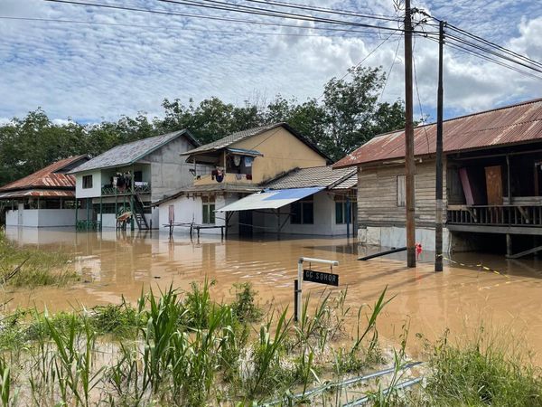 Kalimantan Barat Dikepung Banjir, Begini Penampakannya