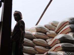 Pasar Induk Cipinang Minta Pasokan Beras 5.000 Ton/Minggu untuk Operasi Pasar