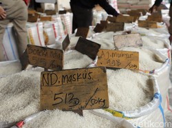 3 Daerah dengan Harga Beras Masih Landai, Ada Tempat Tinggal Anda?