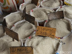 Cihuy! Karyawan BUMD Ini Dapat Beras Gratis 5 Kg/Bulan