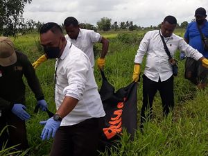 Misteri Tewasnya Pria Pemburu Tikus di Hutan Merauke dengan Luka Tembak Misteri Tewasnya Pria Pemburu Tikus di Hutan Merauke dengan Luka Tembak