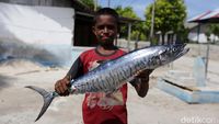 Potret Anak-anak Pulau Terluar Jualan Ikan Keliling Kampung
