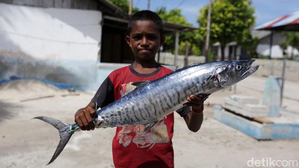 Potret Anak-anak Pulau Terluar Jualan Ikan Keliling Kampung