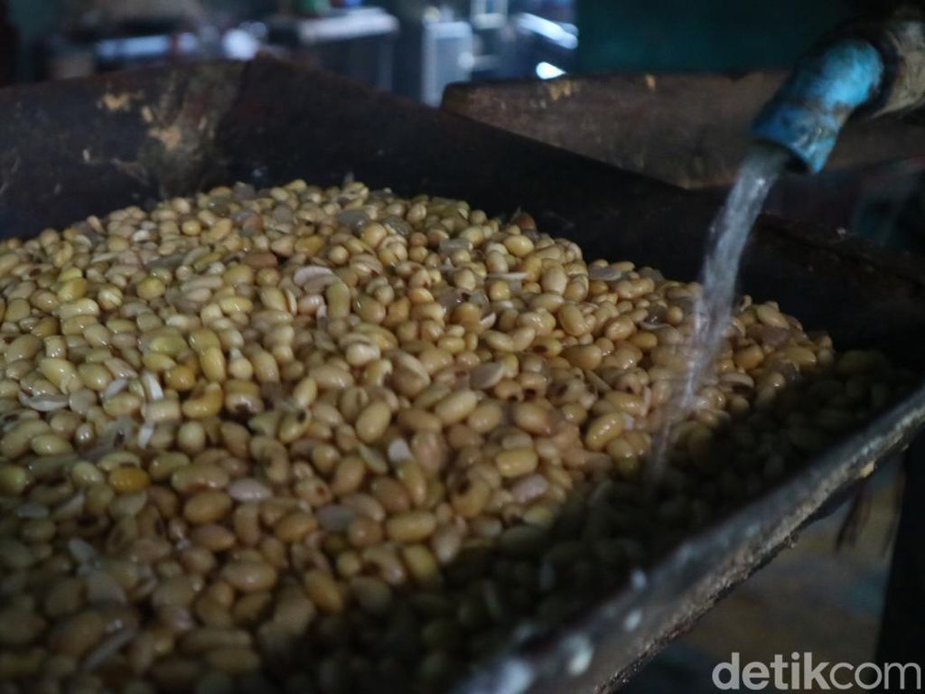 Perhatian.... Januari 2023 Harga Kedelai Dijamin Turun! Perhatian.... Januari 2023 Harga Kedelai Dijamin Turun!