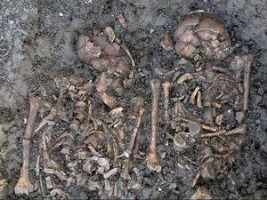 Temuan Kerangka 2 Wanita-Bayi Era Romawi Ungkap Tragedi Keluarga