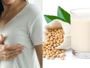 Benarkah Makan Kedelai Picu Kanker Payudara?