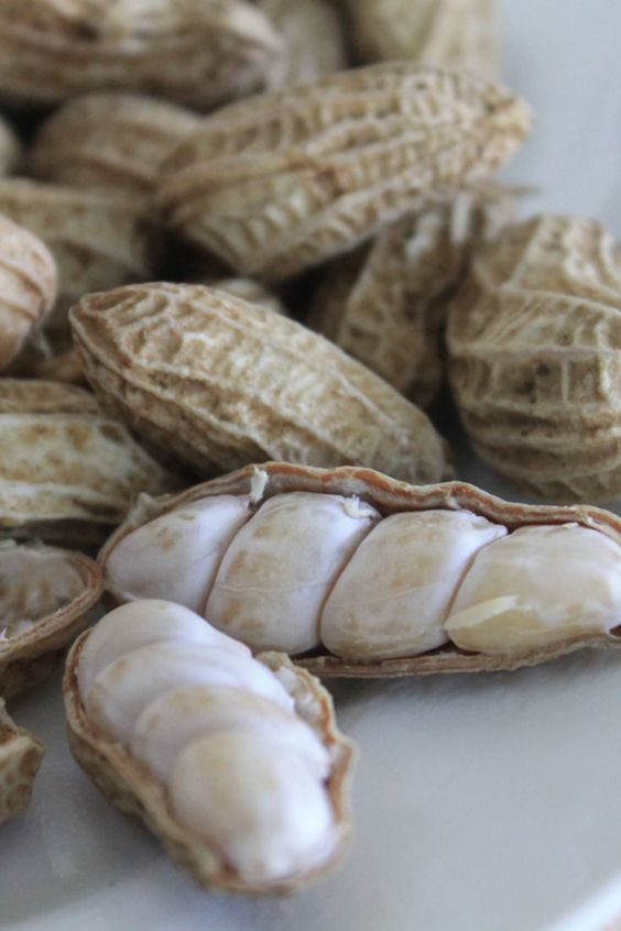 gambaran kacang yang sudah diolah dengan benar