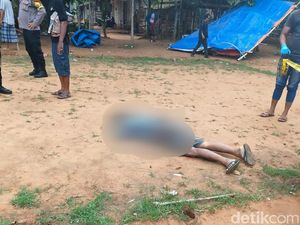 Misteri Penembakan di Arena Sabung Ayam yang Diduga Dilakukan Amatir Misteri Penembakan di Arena Sabung Ayam yang Diduga Dilakukan Amatir