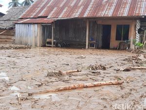 2.448 Rumah Terdampak Banjir, Pemkab Mamuju Tetapkan Tanggap Darurat 2.448 Rumah Terdampak Banjir, Pemkab Mamuju Tetapkan Tanggap Darurat