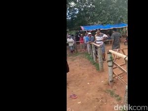 Pria Bangkalan Ditembak hingga Tewas Saat Sedang Nonton Sabung Ayam Pria Bangkalan Ditembak hingga Tewas Saat Sedang Nonton Sabung Ayam