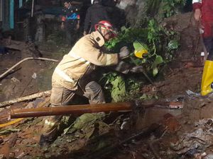 BPBD Bogor Catat 20 Bencana Longsor-Pohon Tumbang Terjadi dalam Sehari