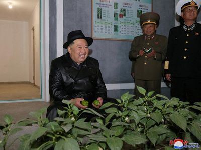 Resmikan Rumah Kaca Raksasa, Kim Jong Un Semringah Banget