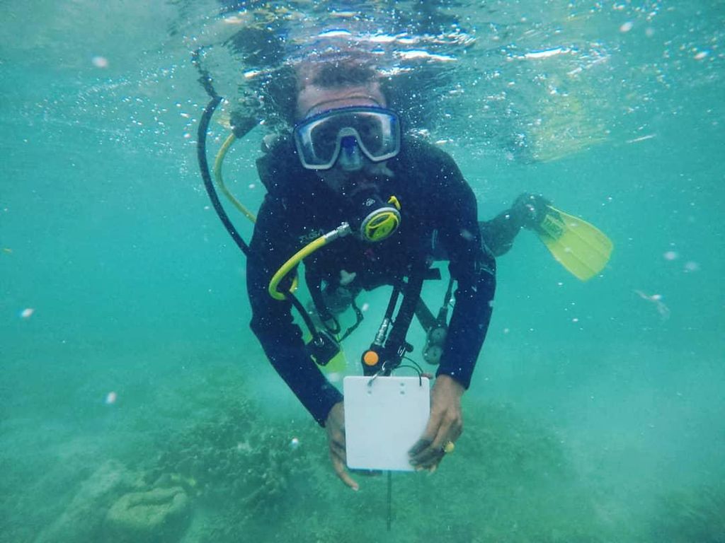 Hidden Gem Indonesia Timur, Spot Snorkeling-Diving Cantik di Tanimbar