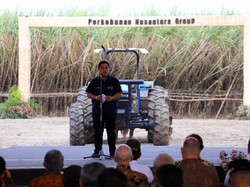 RI Maksimalkan Peran BUMN Geber Swasembada Gula hingga Energi