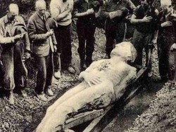 Deretan Fosil Palsu yang Bikin Heboh Dunia