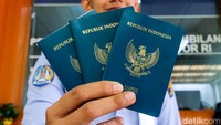 Kenapa Cuma Ada 4 Warna Paspor di Dunia?