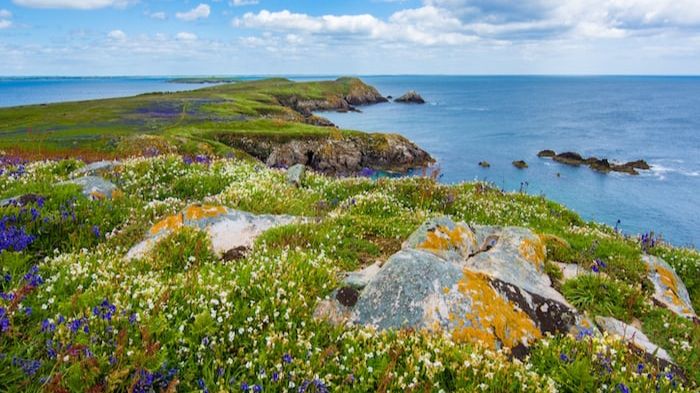 Negara paling damai di dunia 2022