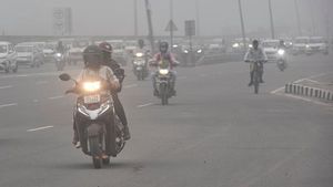 Kabut Asap Selimuti Daratan India, Jarak Pandang Terbatas