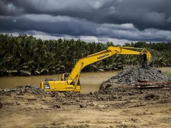 Pengamat Sebut Swasta Ogah Investasi Kalau IKN Masih Hutan