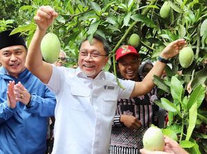 Momen Zulhas Lepas Ekspor Mangga Indramayu