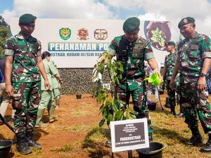 Cegah Banjir-Longsor, Pangkostrad Tanam Ribuan Pohon di Kabupaten Bandung