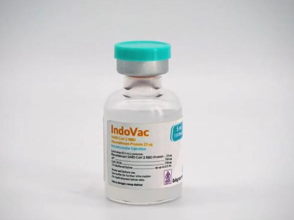 5 Juta Dosis Vaksin IndoVac Bakal Diproduksi untuk Booster Lansia