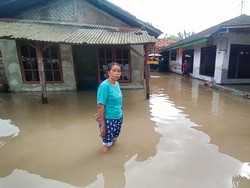 Banjir di Jembrana Bali Tak Kunjung Surut, Warga Mulai Waswas