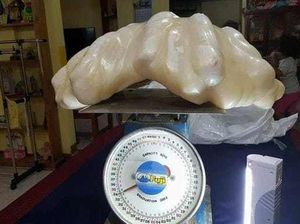 Dikira Cuma Sampah, Ternyata Barang Berharga