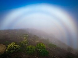 Fenomena Spektakuler Kabut Pelangi Muncul di Langit Amerika