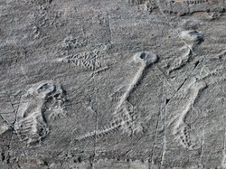 Begini Kehidupan Hewan Pertama di Bumi, Lawan Cuaca Paling Ekstrem