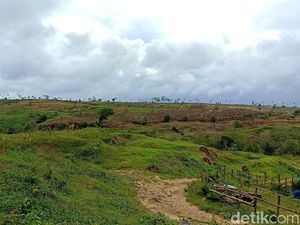 Deforestasi Perparah Banjir di Tulungagung Selatan