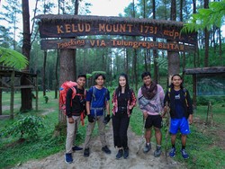 Camping Yuk ke Hutan Pinus Loji Blitar, Wisata Sejuk Alami di Lereng Gunung Kelud