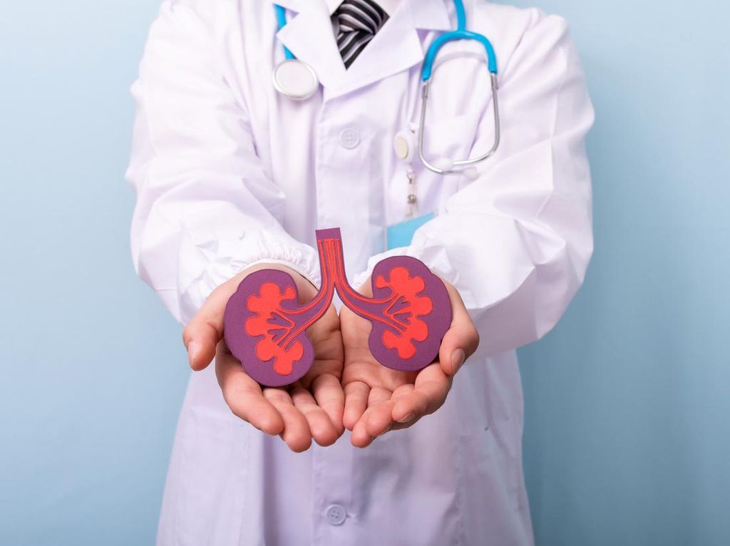 Dokter Sebut Pasien Gagal Ginjal Akut Rentan Kena Gagal Jantung, Ini Gegaranya