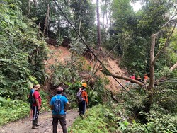Longsor Tutup Jalur Menuju Wisata Sukamade Banyuwangi