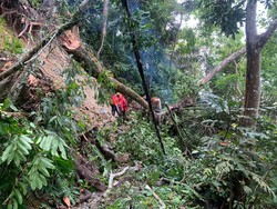 Longsor Tutup Jalur Destinasi Wisata Sukamade Banyuwangi, 300 KK Terisolir