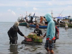 28 Twibbon dan 16 Ucapan Selamat Hari Nelayan Nasional, Share di Medsosmu