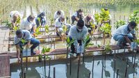 Penanaman 2.000 Bibit Mangrove di Jakarta