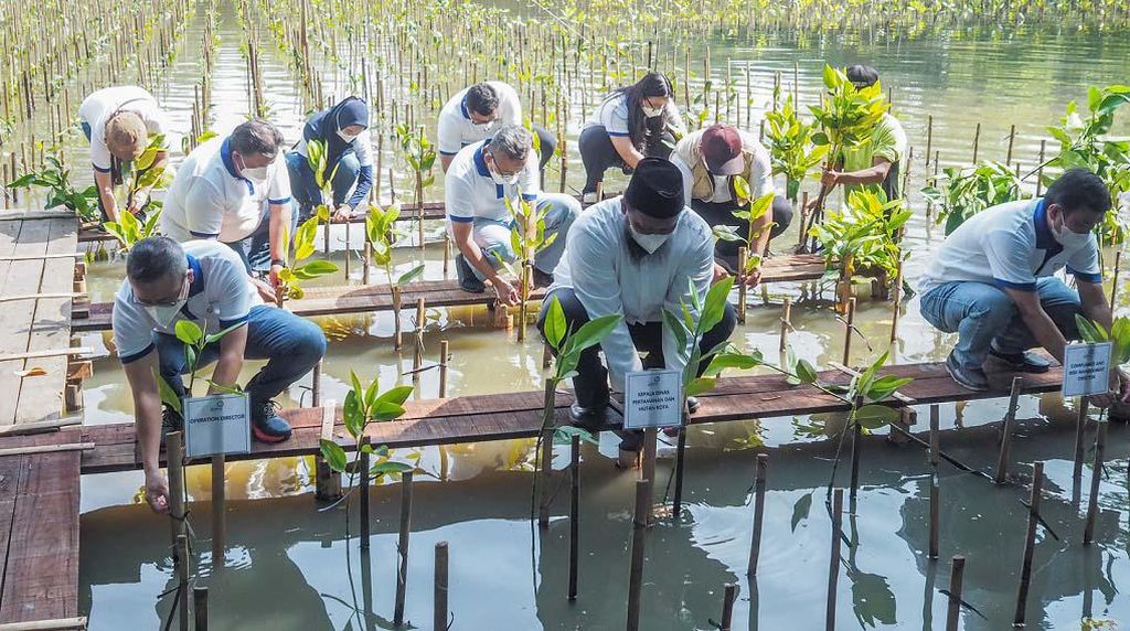 Penanaman 2.000 Bibit Mangrove di Jakarta Penanaman 2.000 Bibit Mangrove di Jakarta